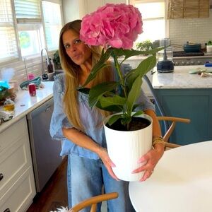 Meet your Posher, Anne Marie